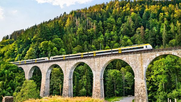 Ravennaschlucht im Schwarzwald: Aktuelle Infos & Tipps