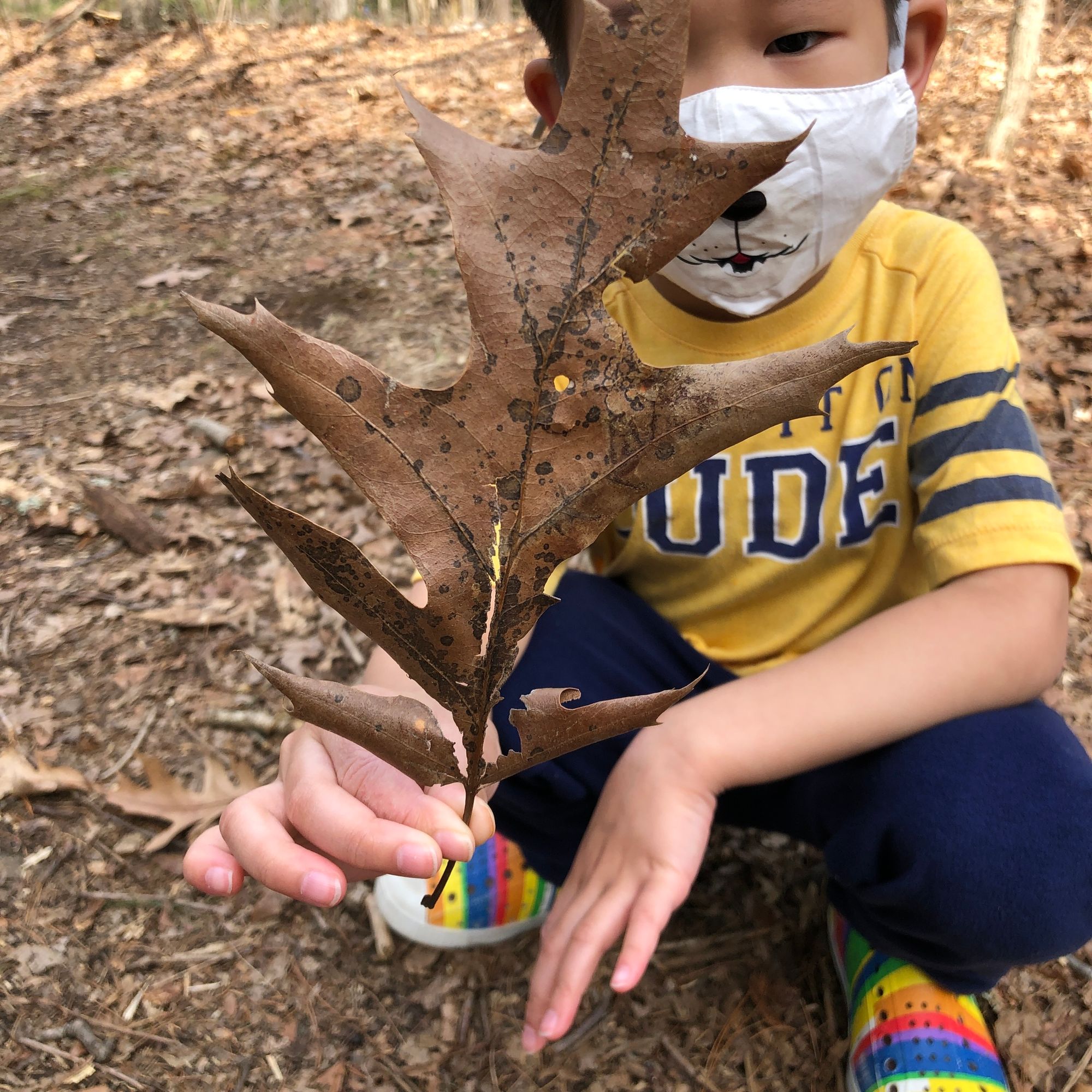 Boy in polar bear mask holding a large brown leaf