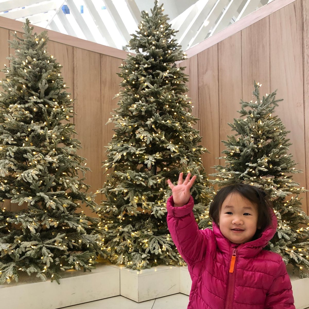 Must-Do Family Things in NYC During the 2025 Christmas Season