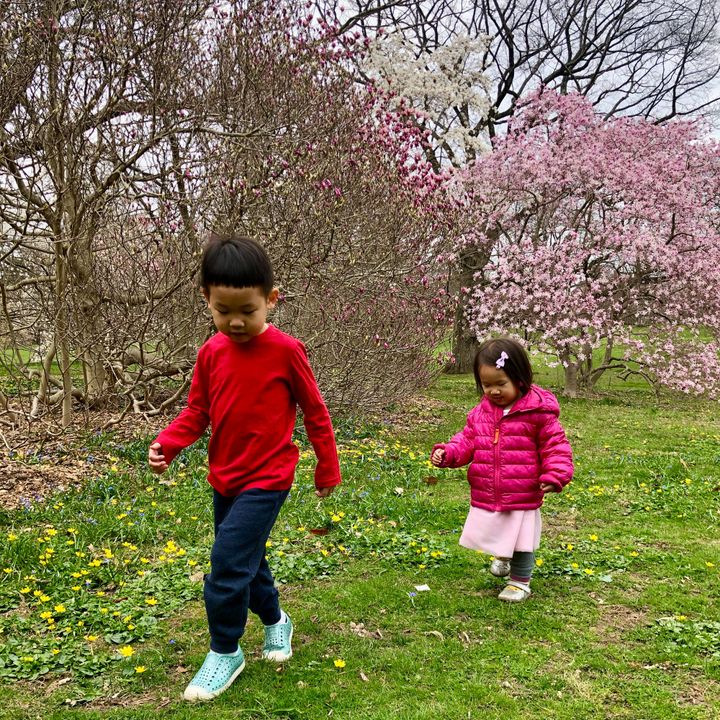 Boy in red t-shirt and blue pants and shoes and girl in pink puffer jacket with pink dress walking in green grass in front of flowering cherry blossom trees