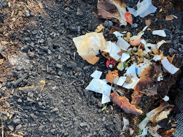 what i think about when i think about compost