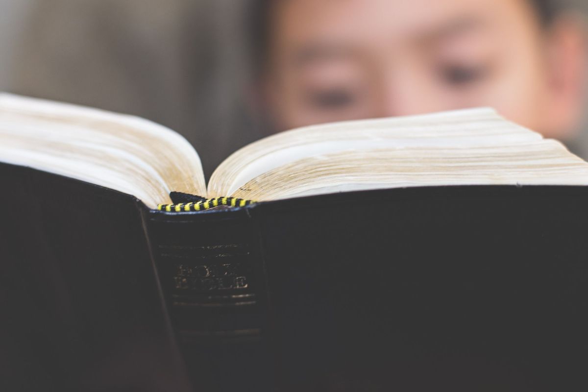 Corker Offer on Excellent Study Bible