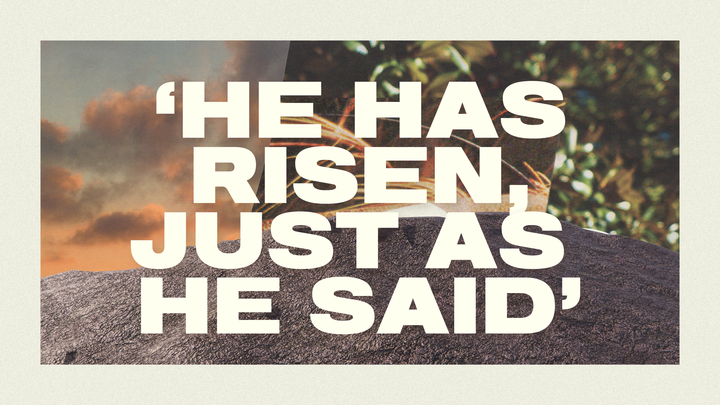 The Easter Refill (20/4/25)
