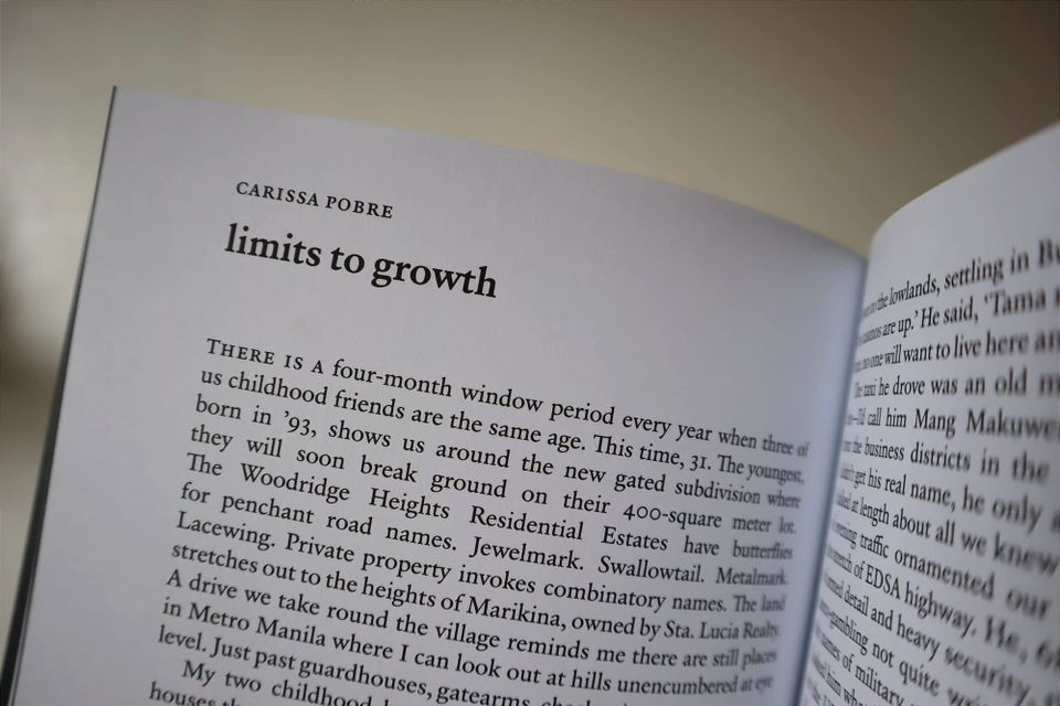 limits to growth
