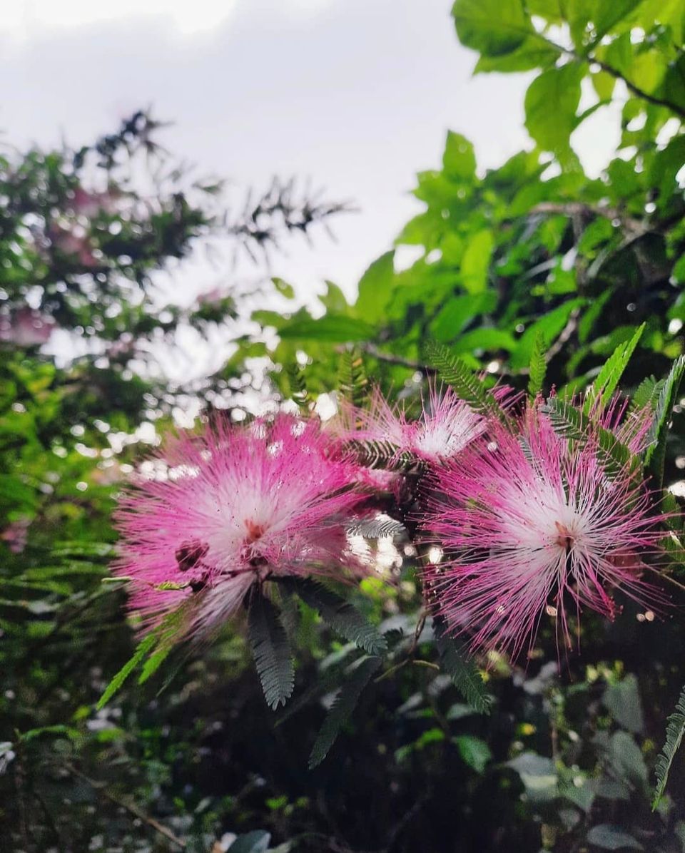 The Turning of the Season