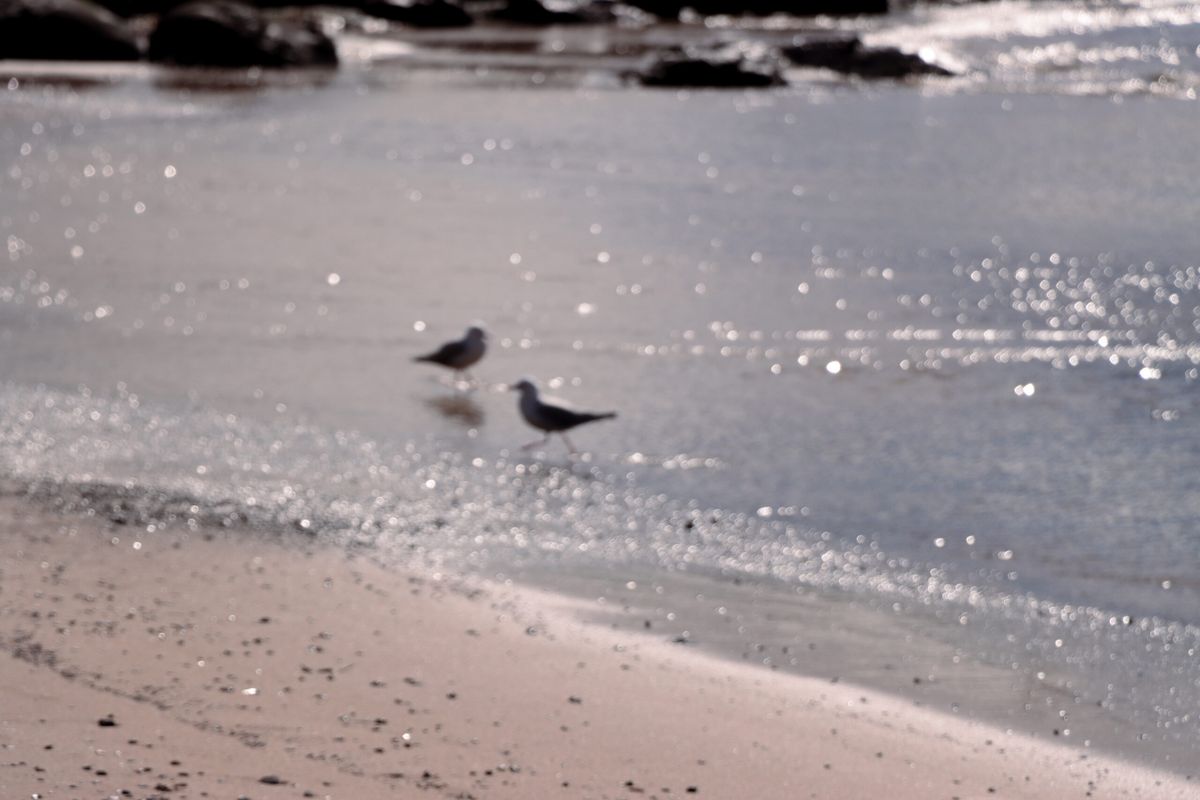 Wollongong, a city I love