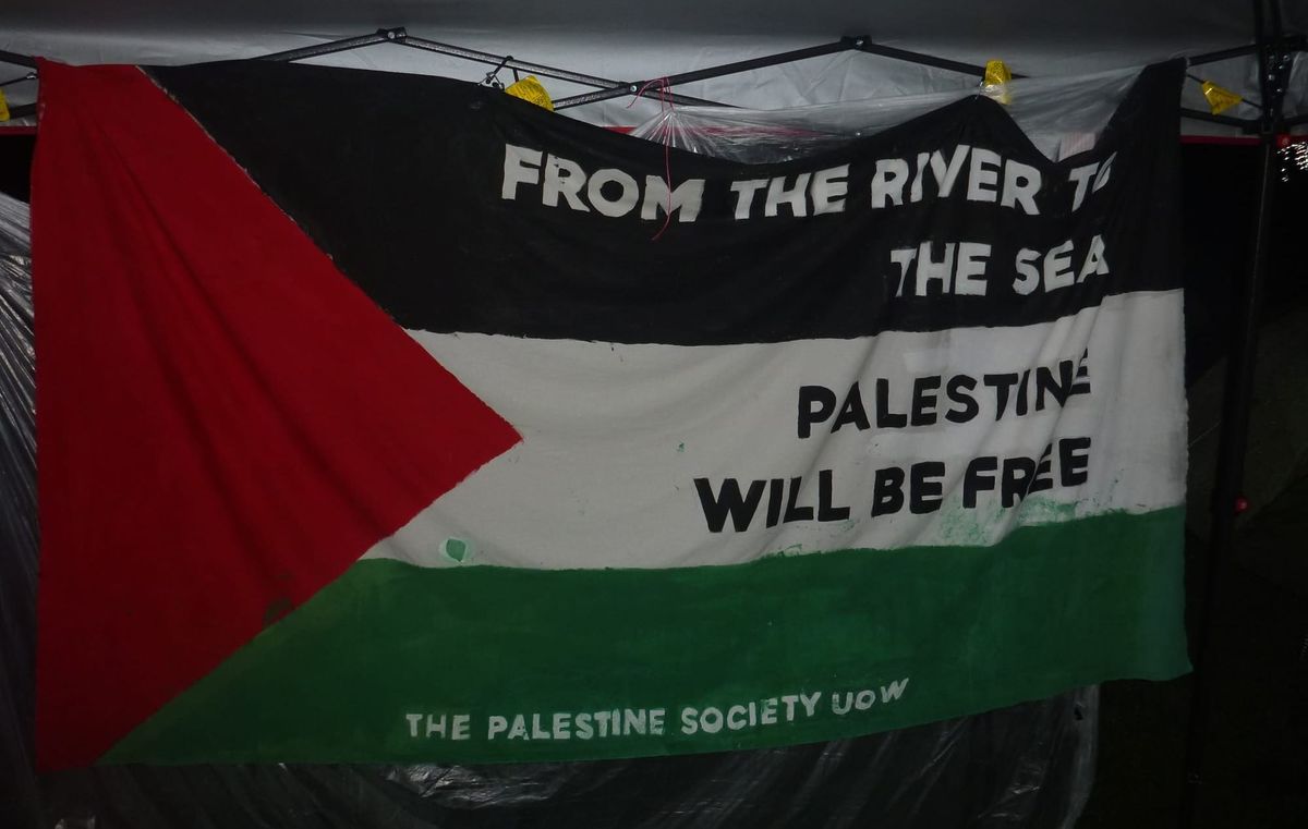 Students for Palestine – Then and Now