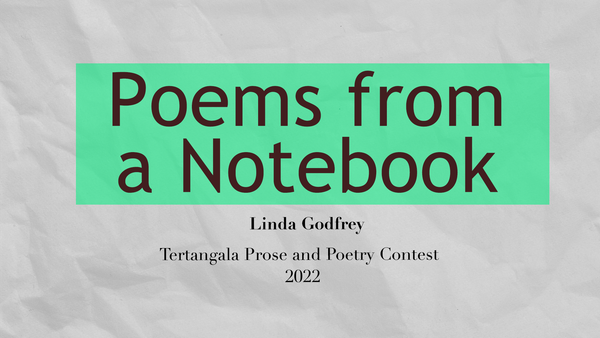 Linda Godfrey - Poems from a Notebook - TTPAPC 2022 Poetry