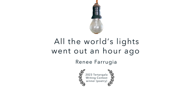 All the world’s lights went out an hour ago - Renee Farrugia