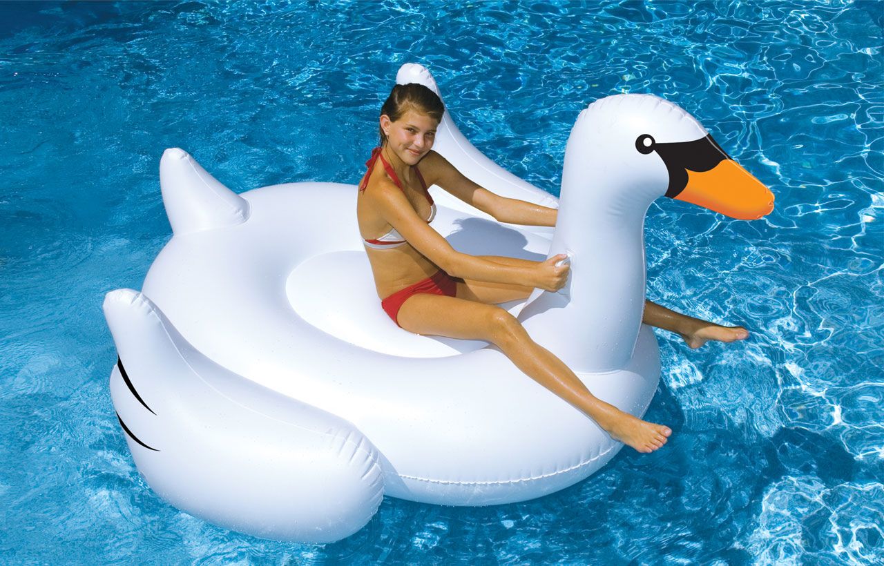 Swan Floats are Back! #SwanLife