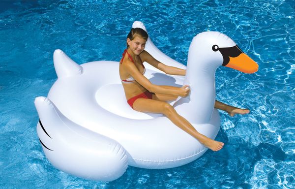 Swan Floats are Back! #SwanLife