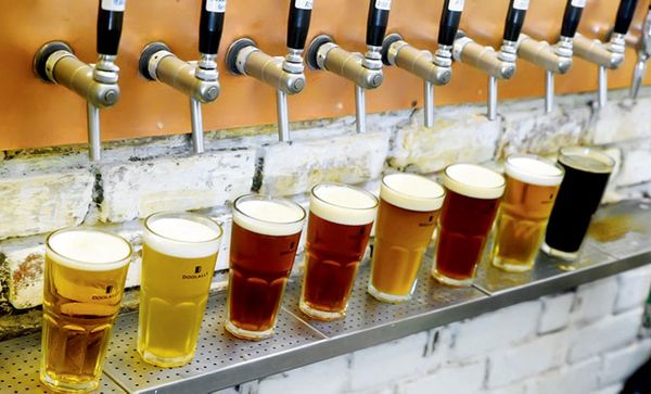 International Beer Day! 🍺