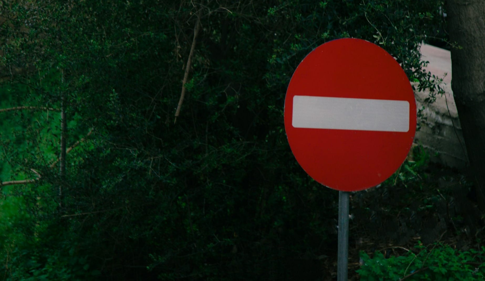 a red and white street sign sitting next to a tree