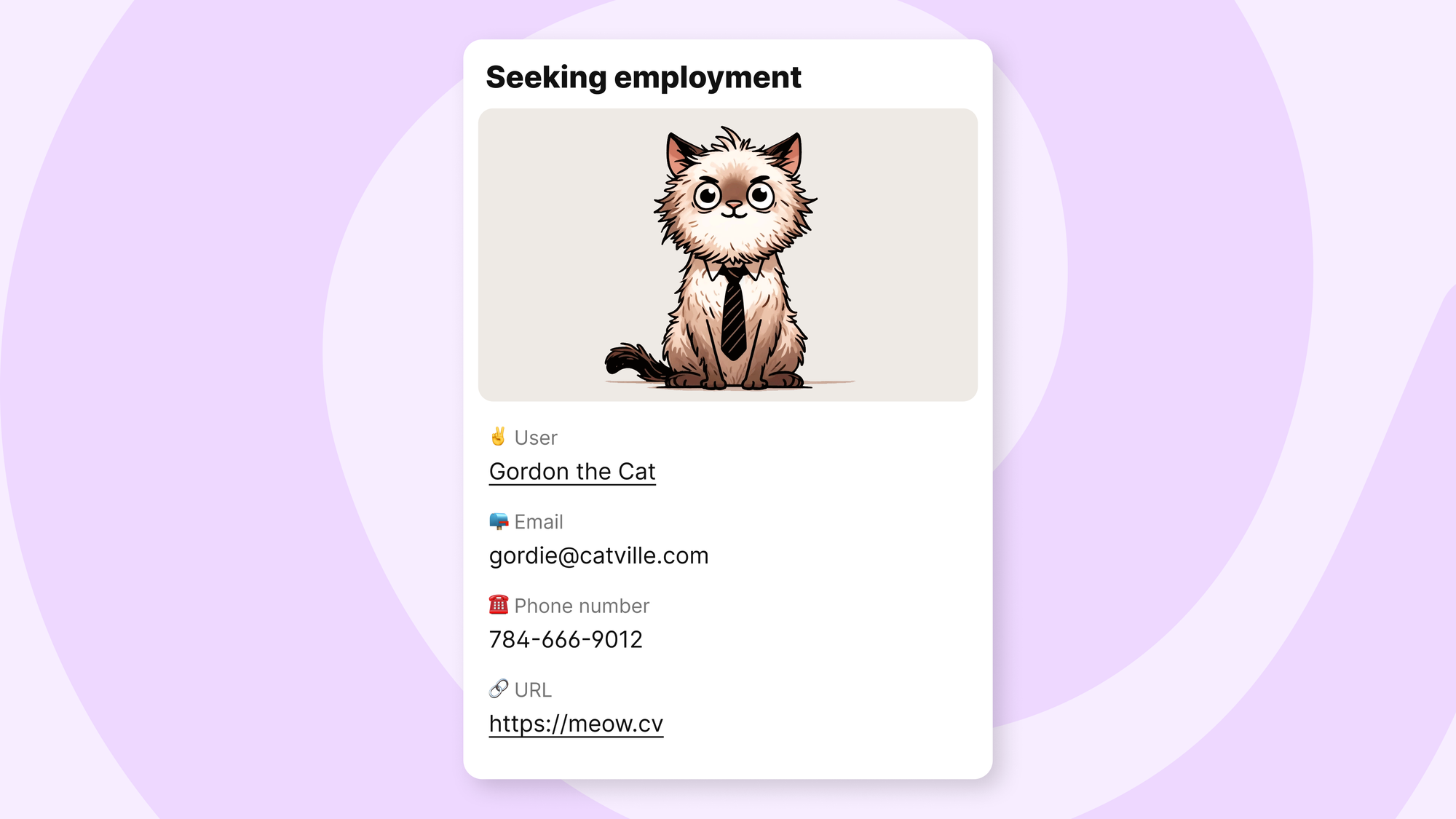 A padlet post showing all four new custom fields: user, email, phone number, and URL.