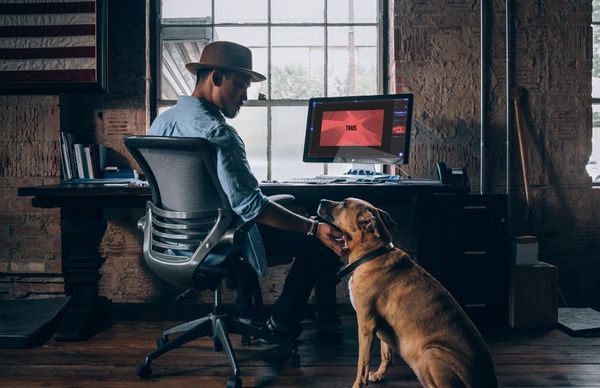 What do I get if I go Pro?