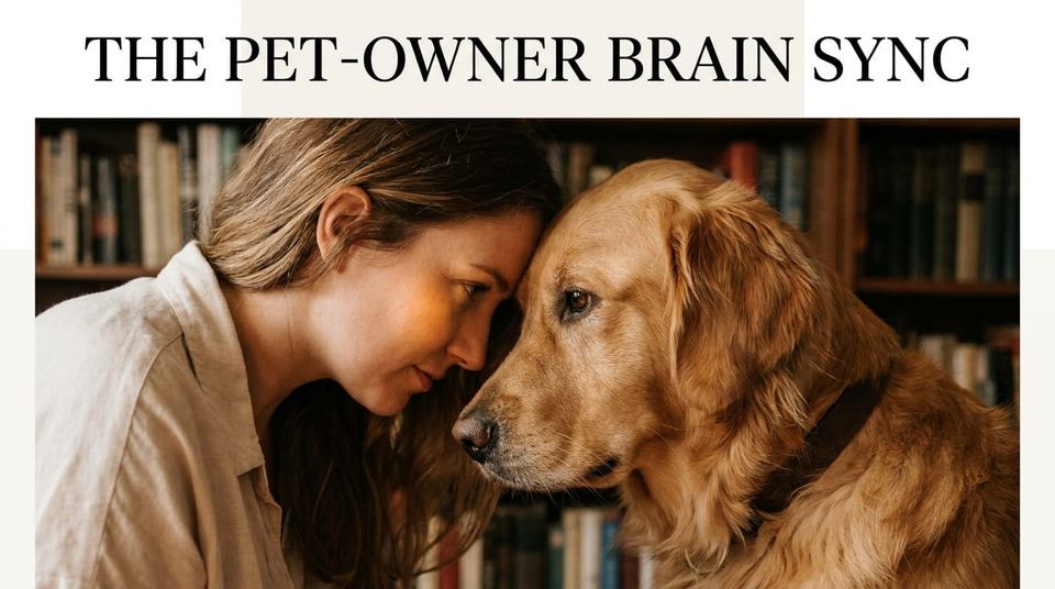 The Pet-Owner Brain Sync