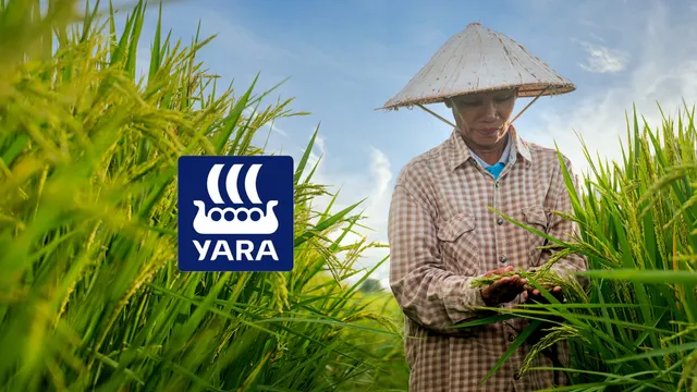 Case Study: A Low-Tech Lifeline - How SMS Reconnected Yara with Myanmar’s Farmers