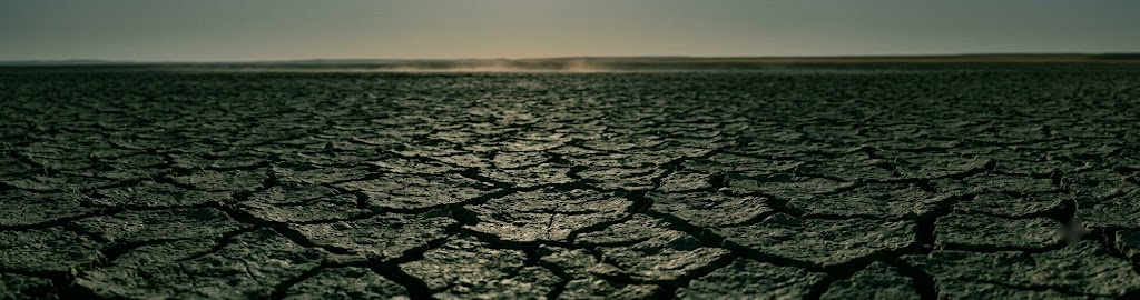 Parched cracked earth stretching to a low horizon