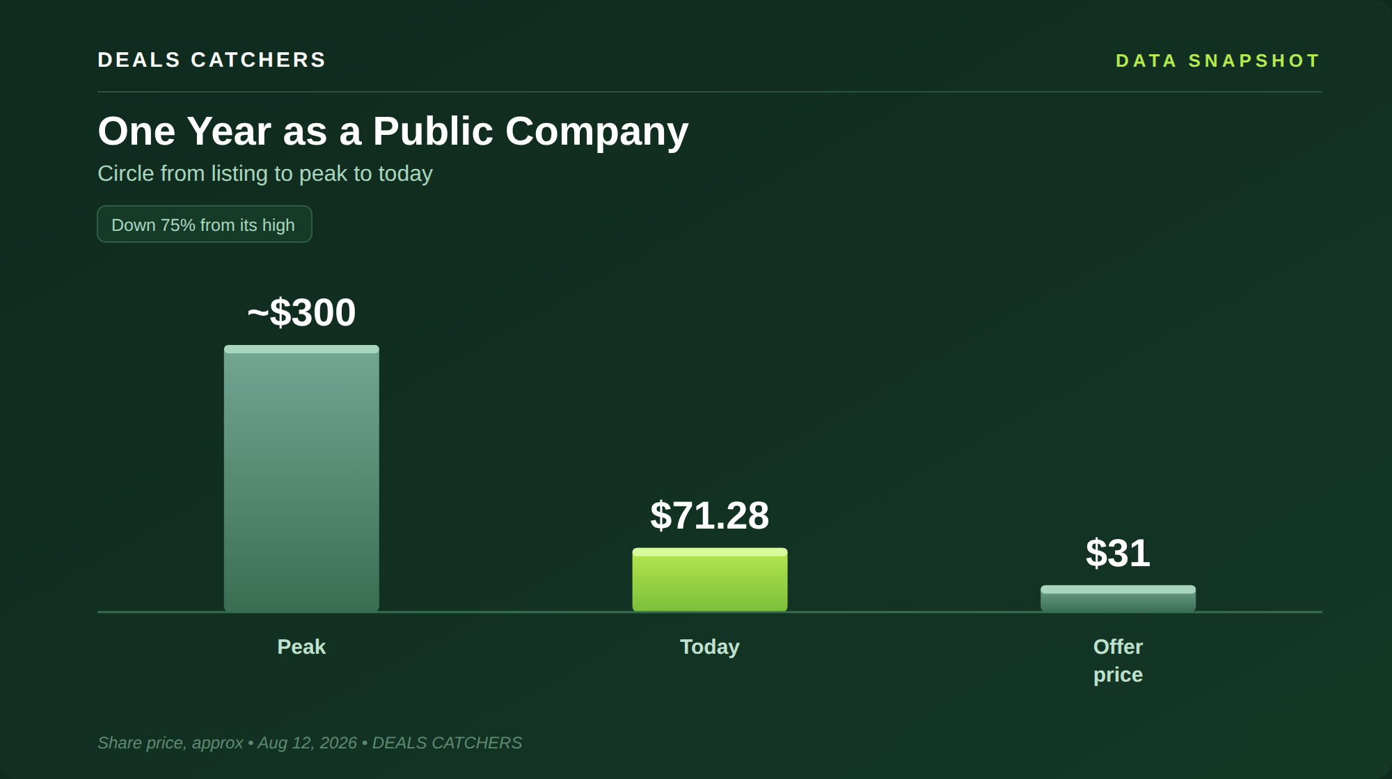 One year as a public company