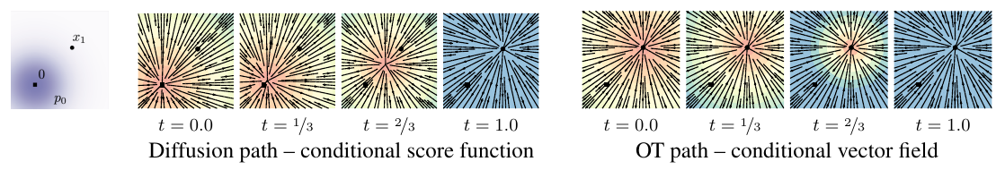 Diffusion conditional score function versus OT conditional vector field over time