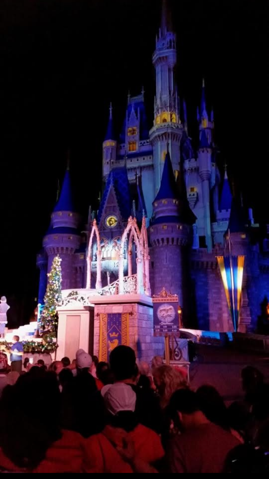 A castle with a christmas tree and people in front

AI-generated content may be incorrect.