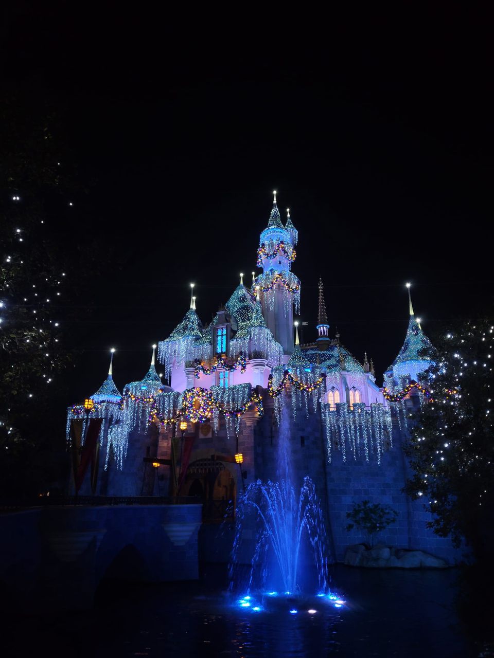 Your Guide to Disney this November