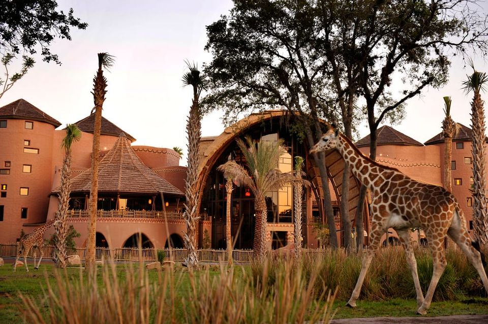 My Summer Travel Bucket List: Counting Down My Top 10 Dream Trips