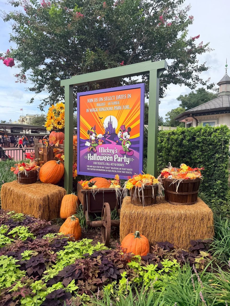 Mickey’s Not-So-Scary Halloween Party 2026: Opening Night Brings New Magic to the Magic Kingdom 🎃👻