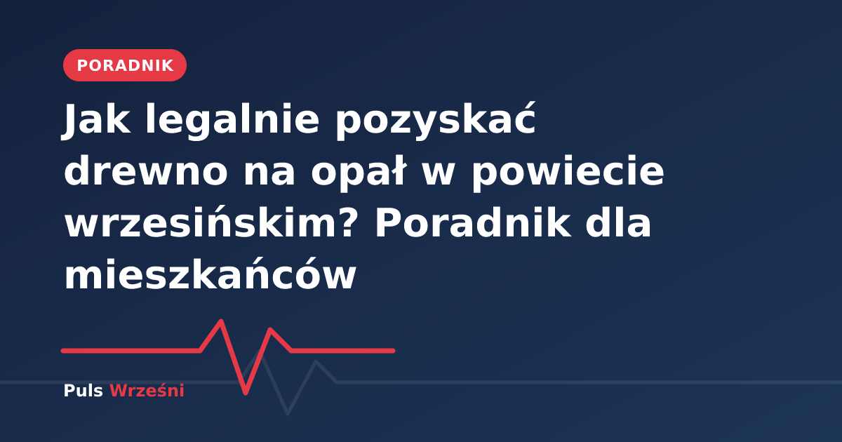 Stos drewna opałowego w lesie w powiecie wrzesińskim