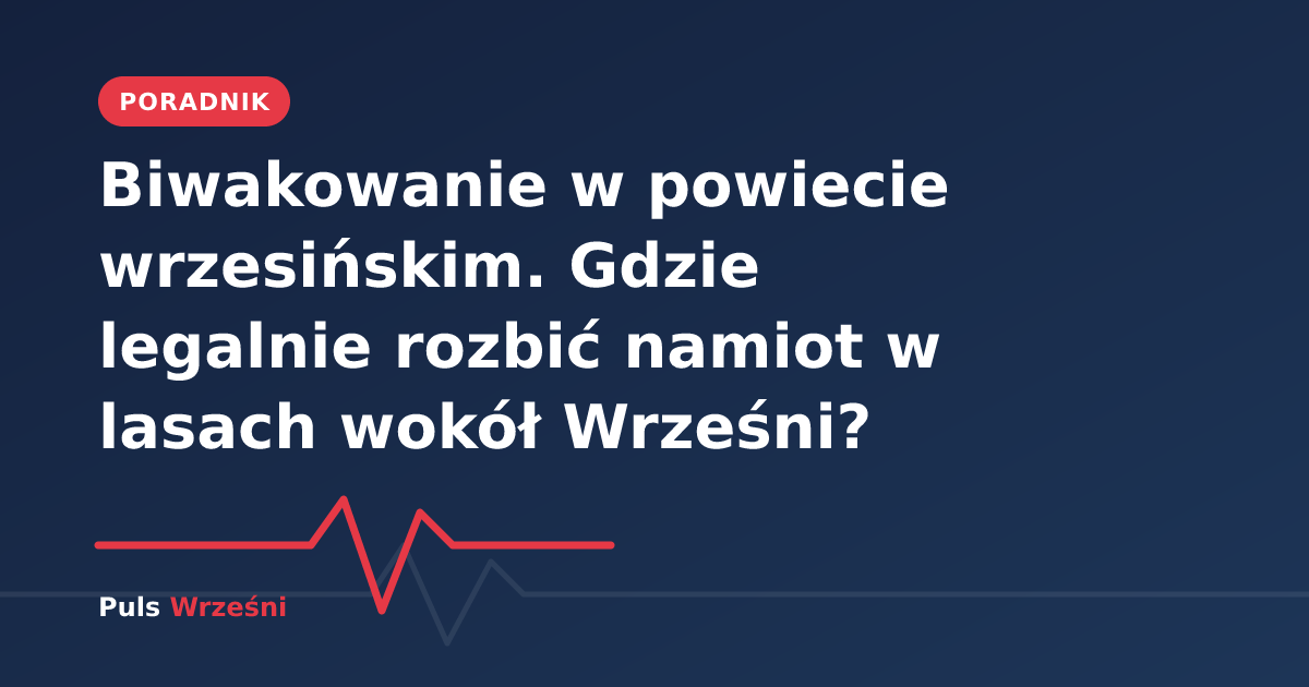 Namiot turystyczny rozbity w lesie podczas leśnego biwaku