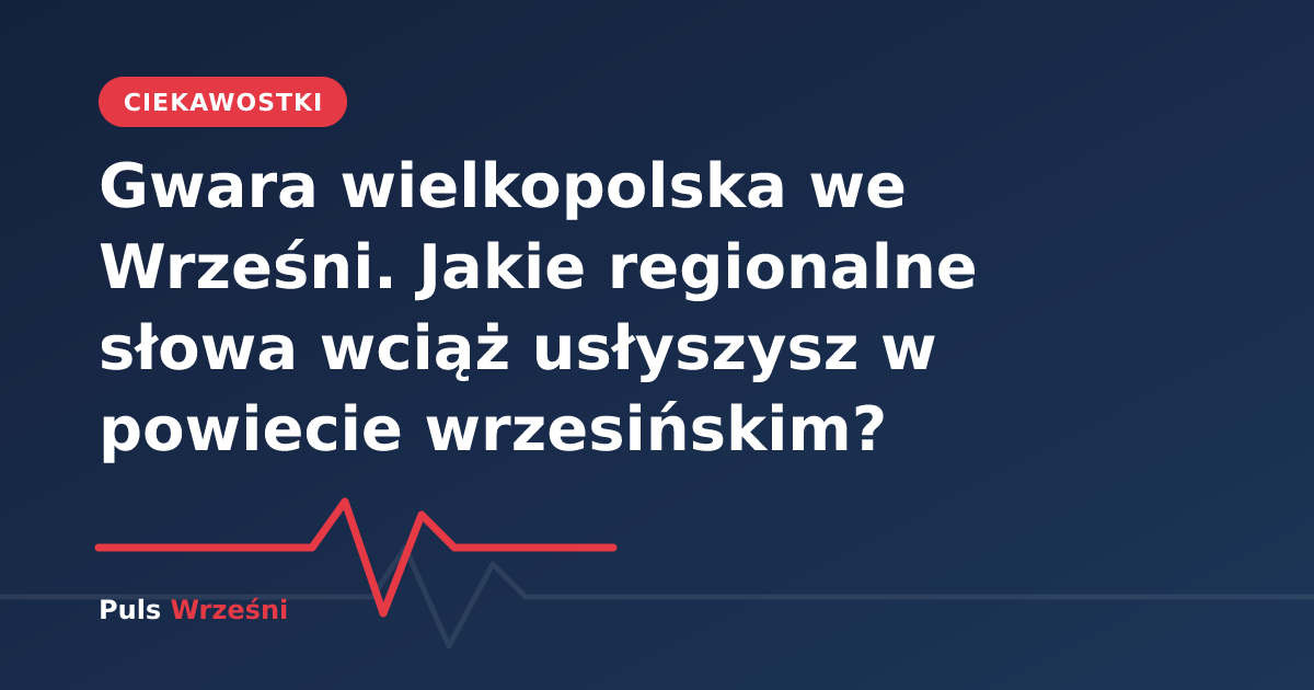 Mieszkańcy rozmawiający w przestrzeni miejskiej wielkopolskiego miasta