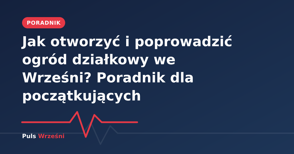 Zadbany ogród działkowy z domkiem i grządkami w promieniach słońca