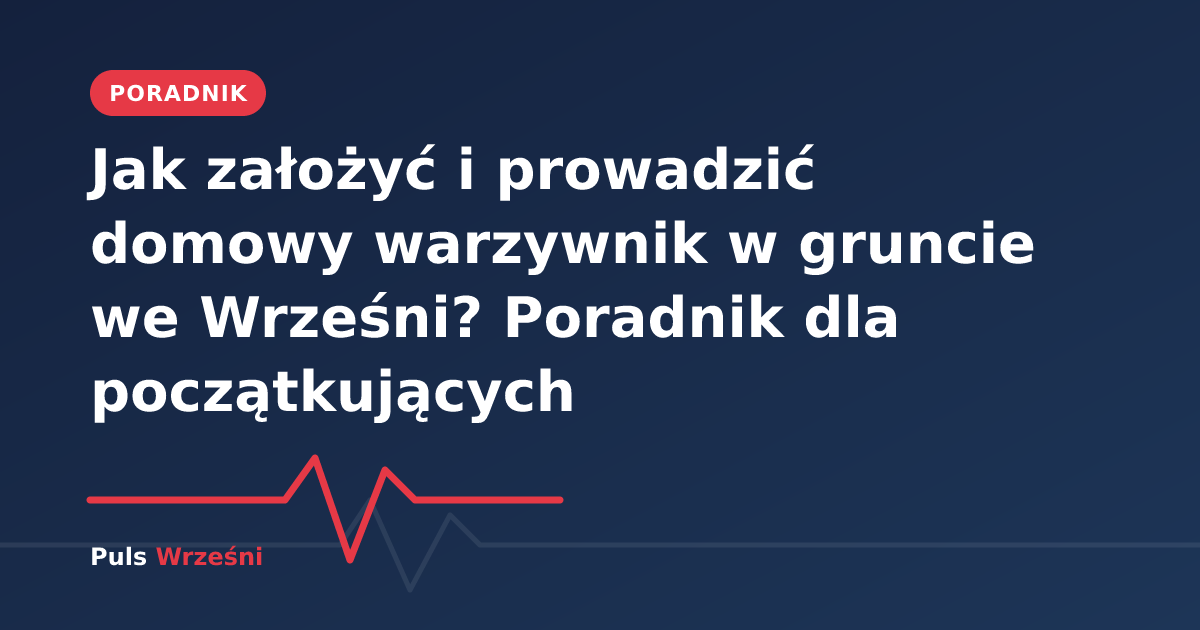Przygotowana gleba pod domowy warzywnik w ogrodzie