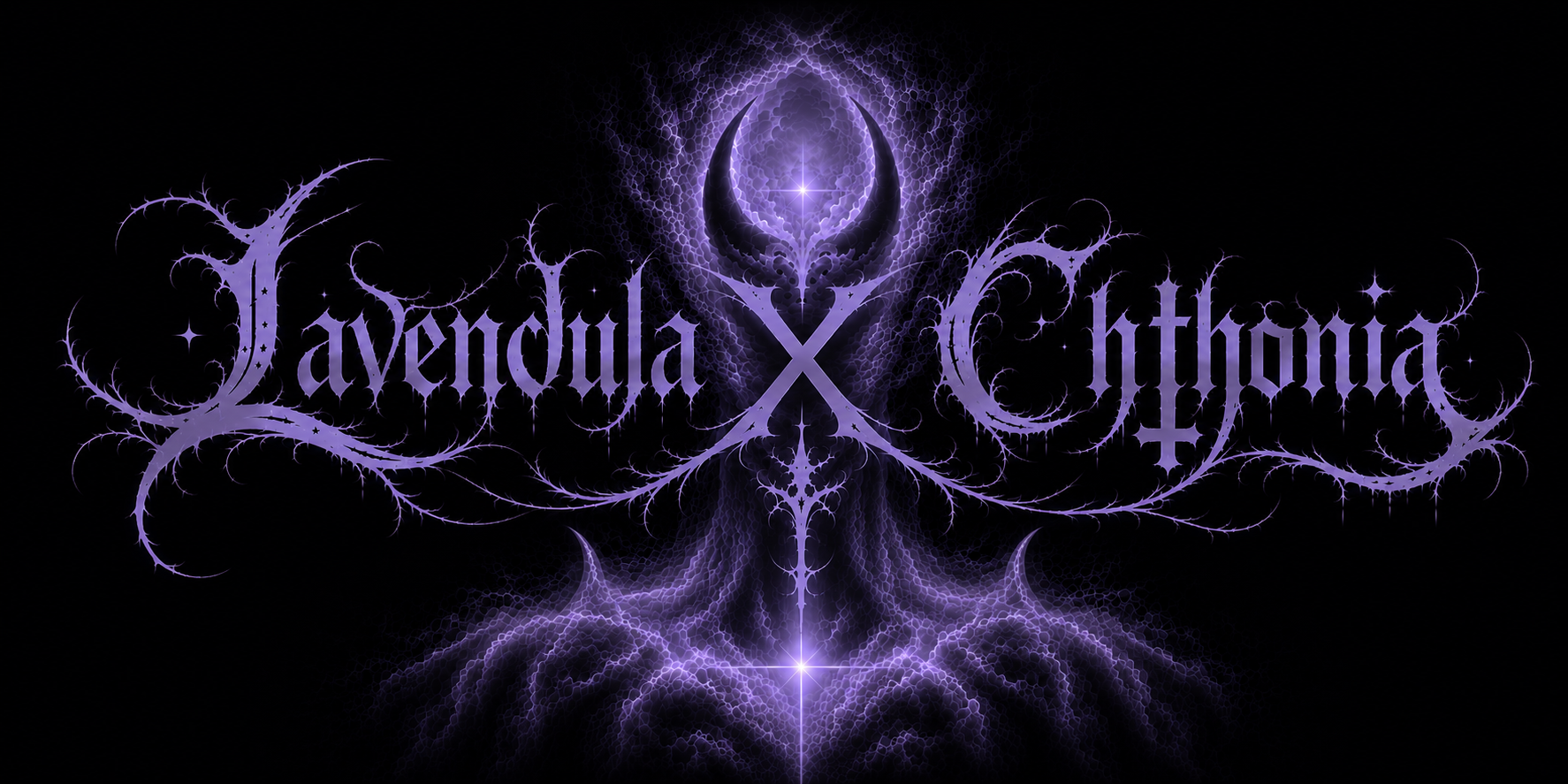 Lavendula x Chthonia