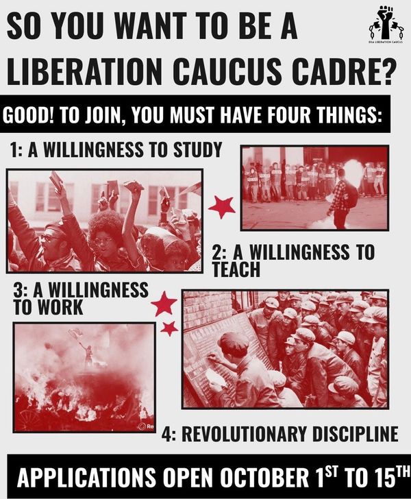 What Does it Take to Be A Liberation Cadre?