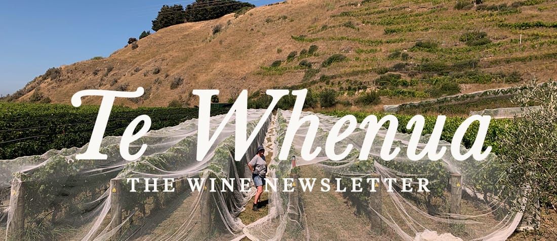 Issue No. 26, November 2025