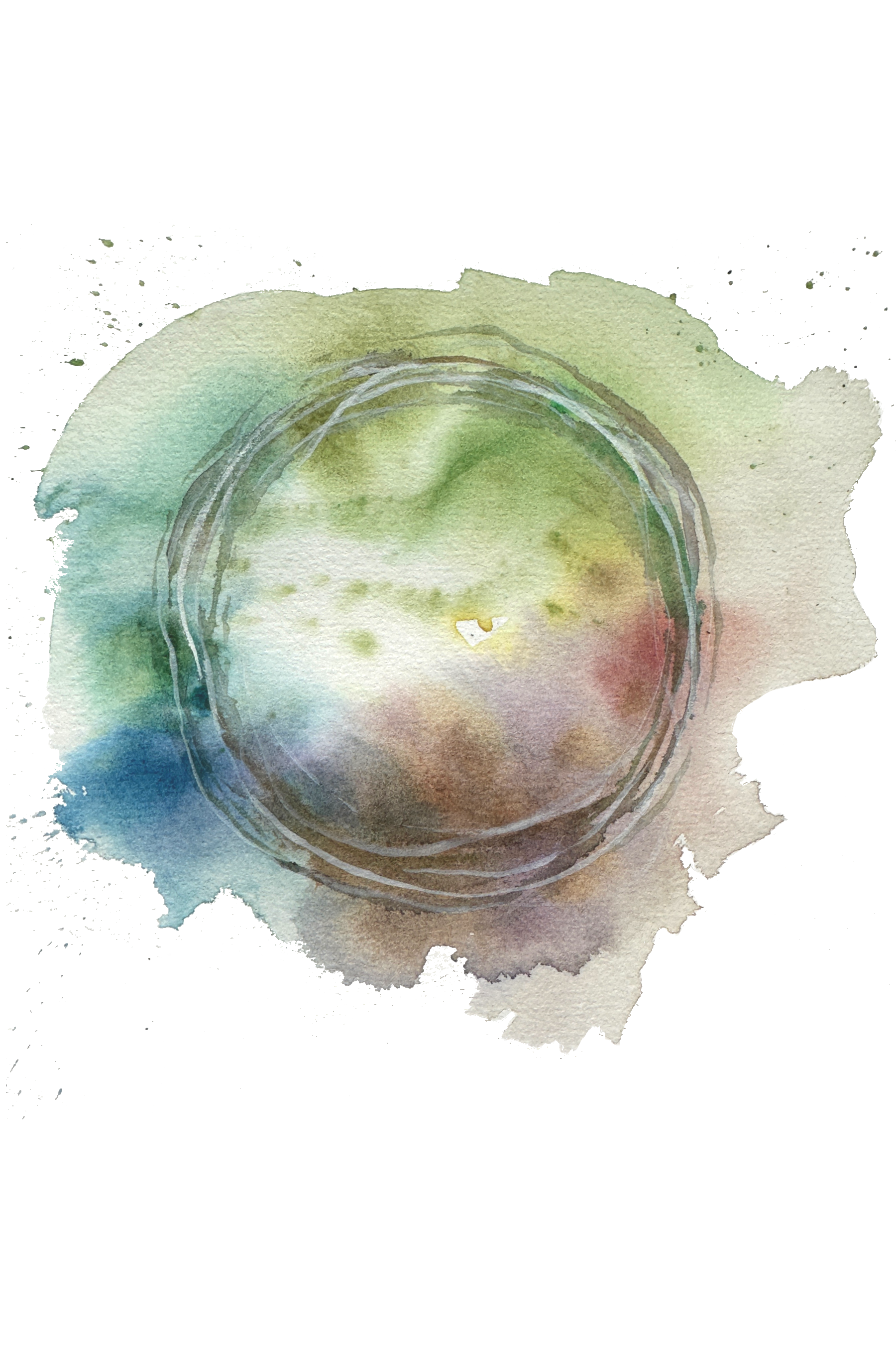 Transforming the Public Sector from Within