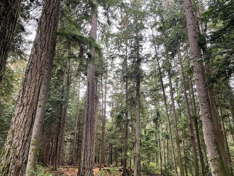 A sense of place in public sector innovation