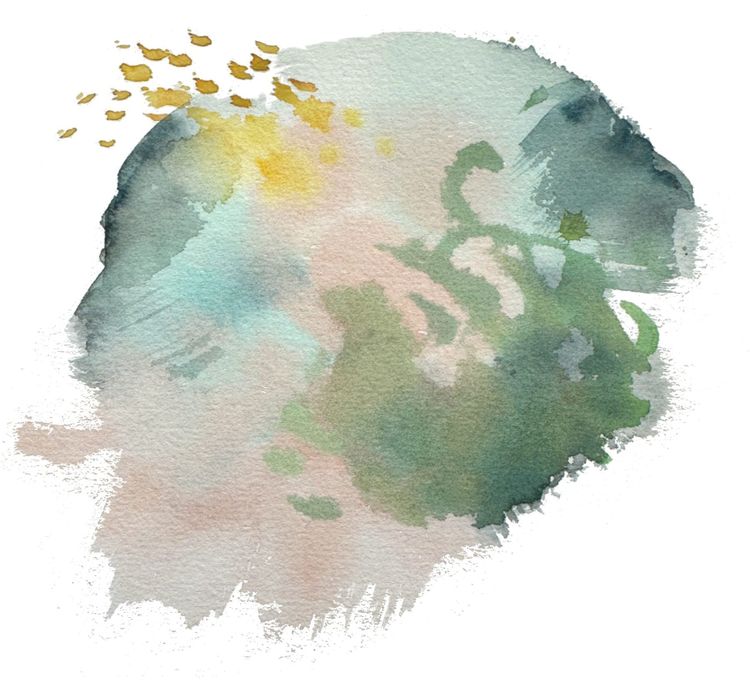 Spring love letter to begin - excerpt