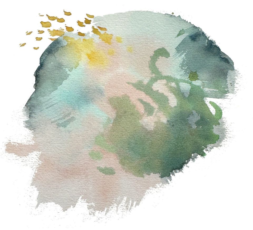 Spring love letter to begin - excerpt