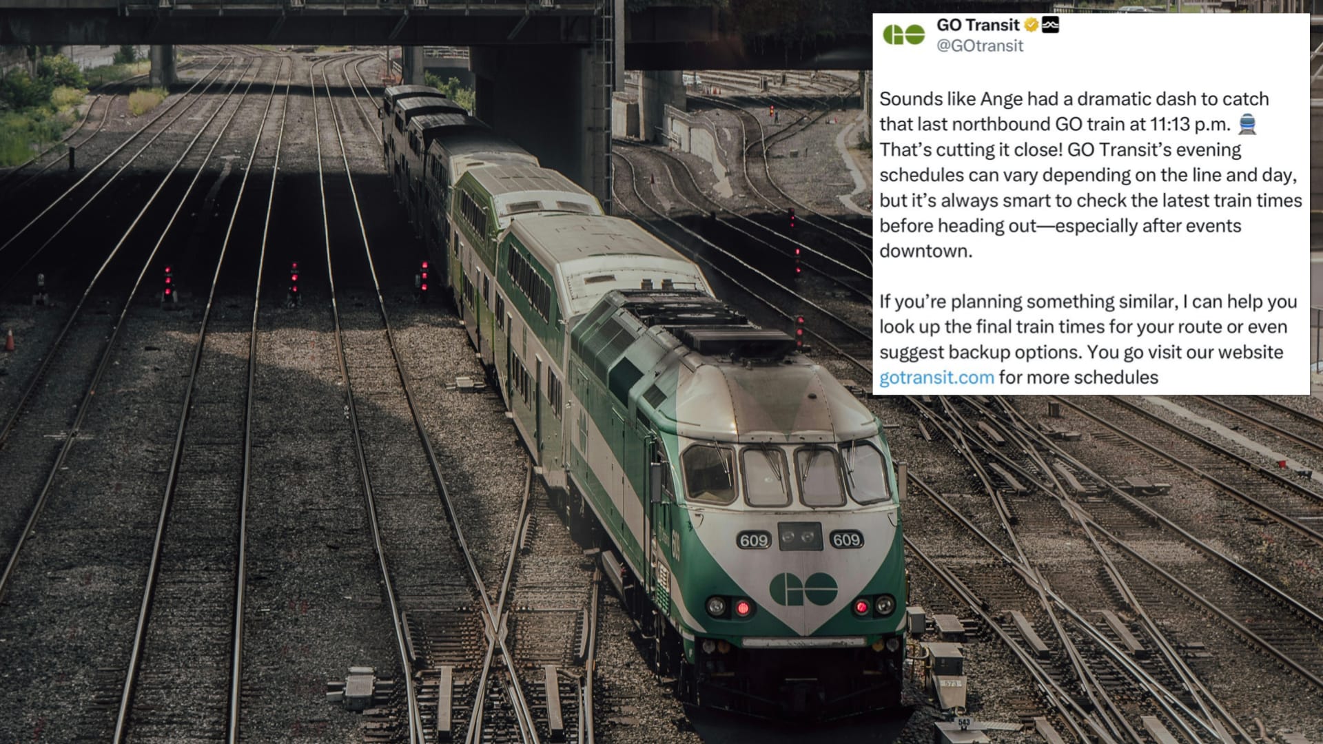 A green and white Metrolinx GO Transit train on the tracks under a bridge.