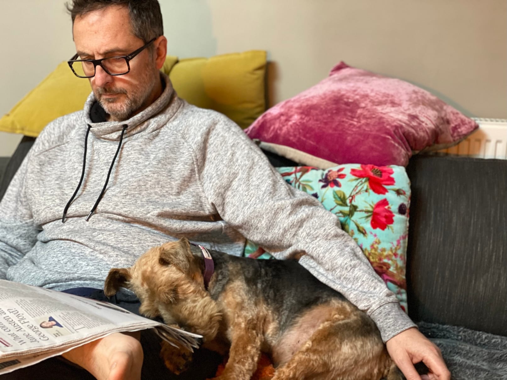 The author, reading the Sunday Times on a sofa with his dog resting on his lap