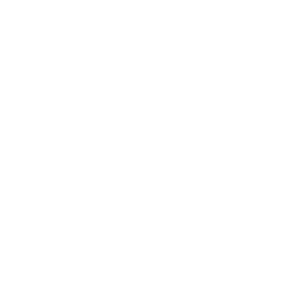 Crisis communications in practice