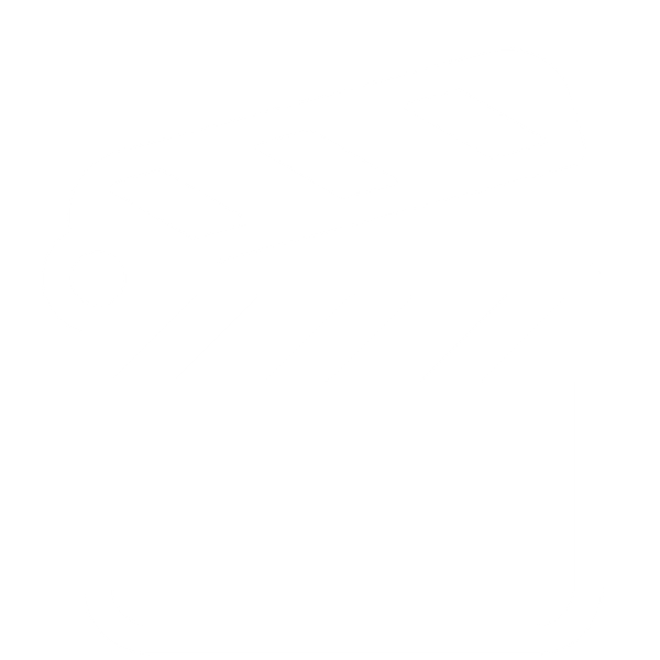 Content creation and social media