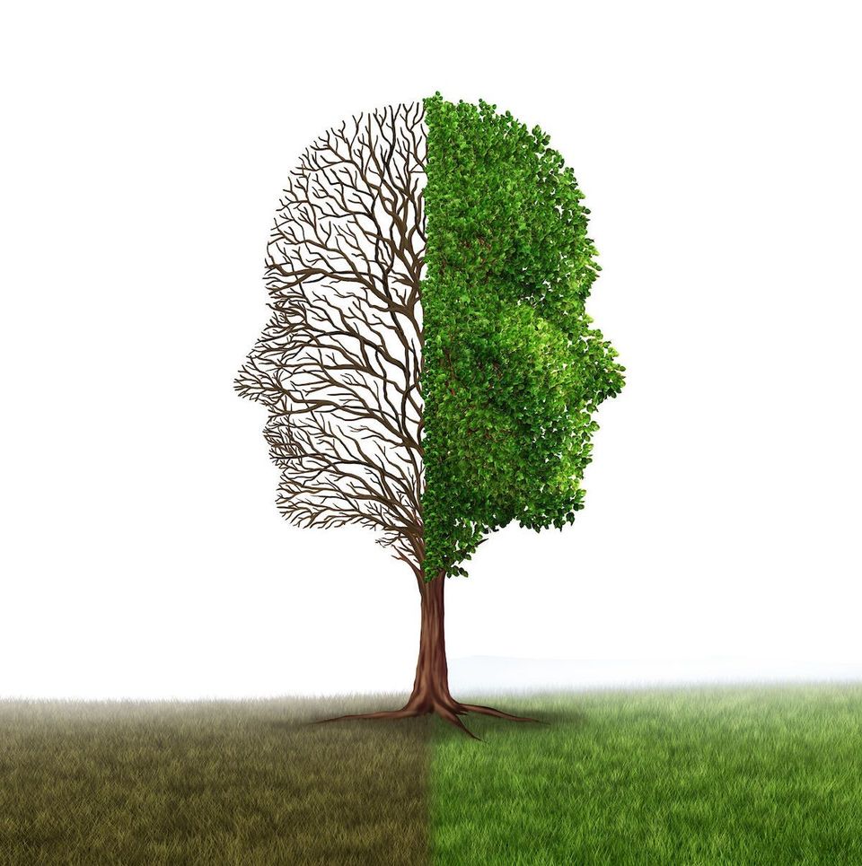 Identifying Behavioral Issues and How to Seek Help Through Online Therapy