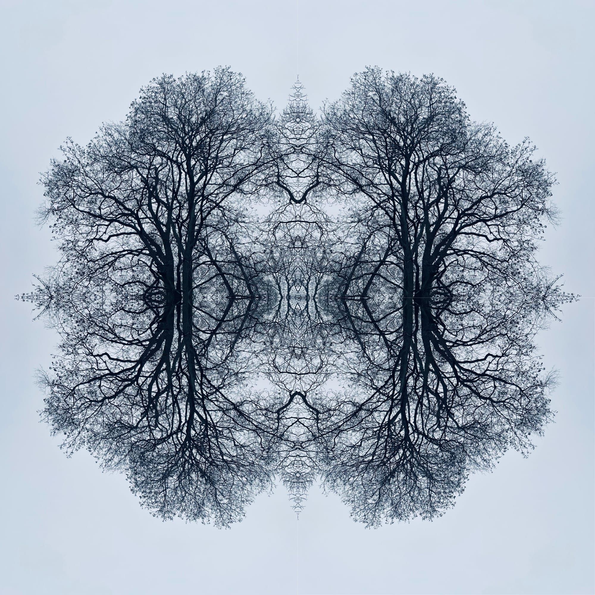 Week of Reconnection | Extrary is here