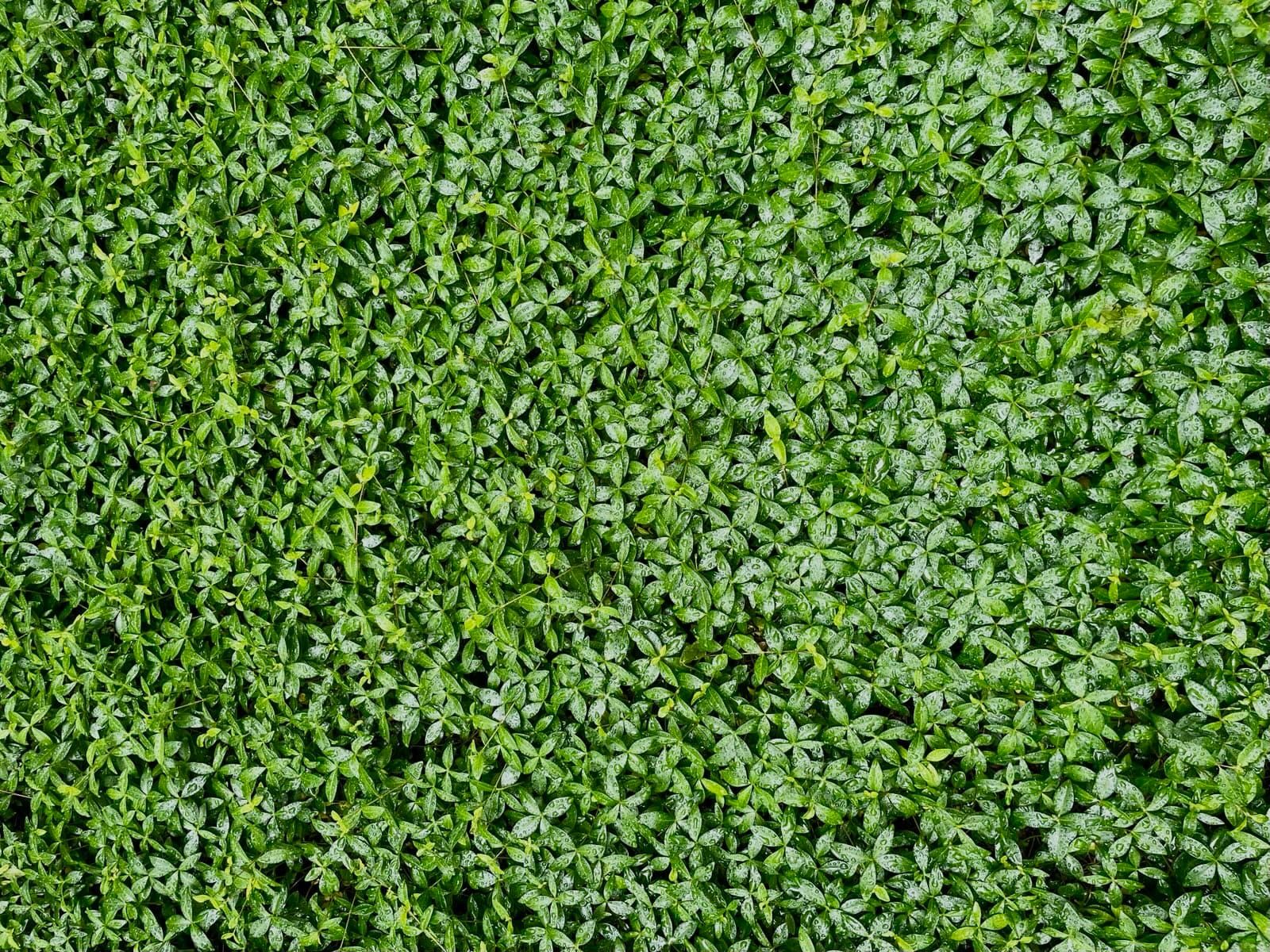 Expecting the unpredictable