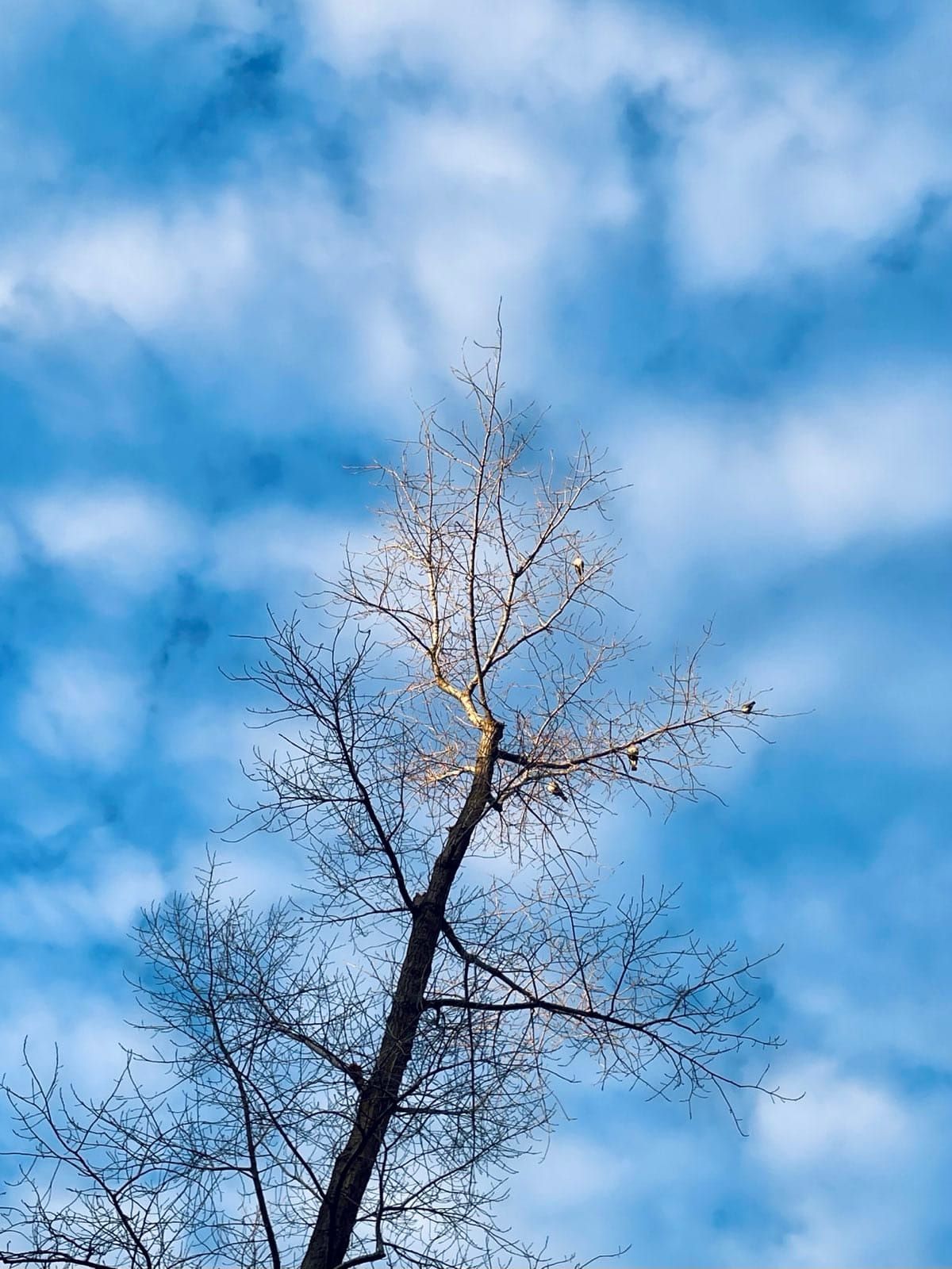 The Art of Preparedness