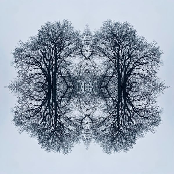 Week of Reconnection | Extrary is here