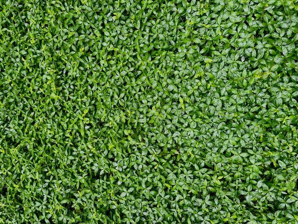 Expecting the unpredictable